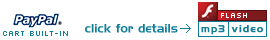 Allwebco Mp3 Music Web Template Details