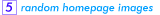 Template homepage will randomly display one of five .jpg images.