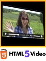 &nbsp;Flash Mini-Video FLV Player&nbsp;