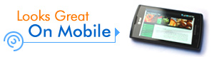 Business Mobile and Tablet, iPad, iPhone HTML websites