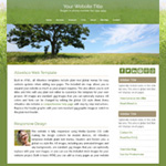 Meadow: Free with any hosting order website template