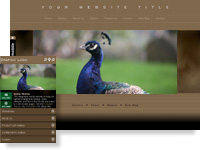 GalleryLatte: Photography Web Site Template