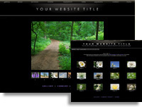 DMSmithsonian: Art and photo gallery web template