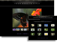 LXSmithsonian: Art and photo gallery web template