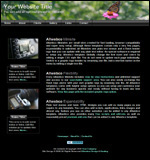View mini site web template