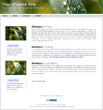 View mini site web template