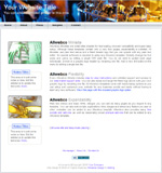 View mini site web template