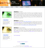 Minisite Video web template
