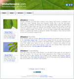 Free Minisite web template