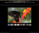 View This Design