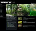 BlackForest: Template website with quotes form
