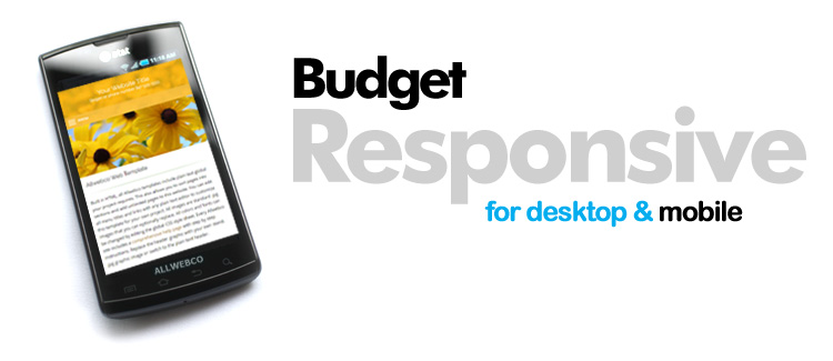 Budget Web Template Designs