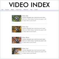 Video Index